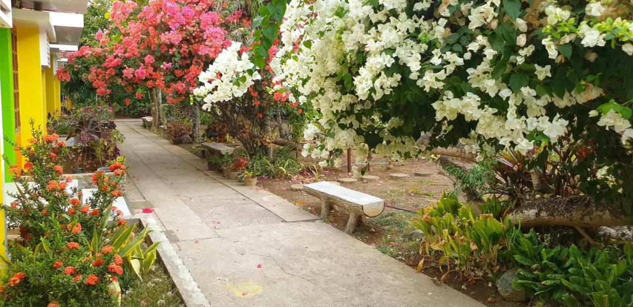 مبيت وإفطار بويرتو برينسيسا Balai Felicisima المظهر الخارجي الصورة